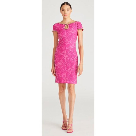 NWT Theia Thelma Keyhole Cocktail Dress Pink Sz 2 $645 [jb] - Picture 3 of 13
